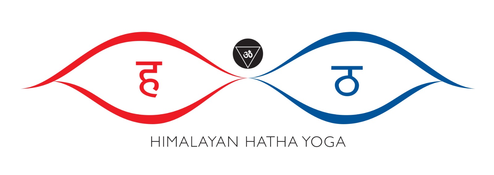 Hatha joga [MCMC]